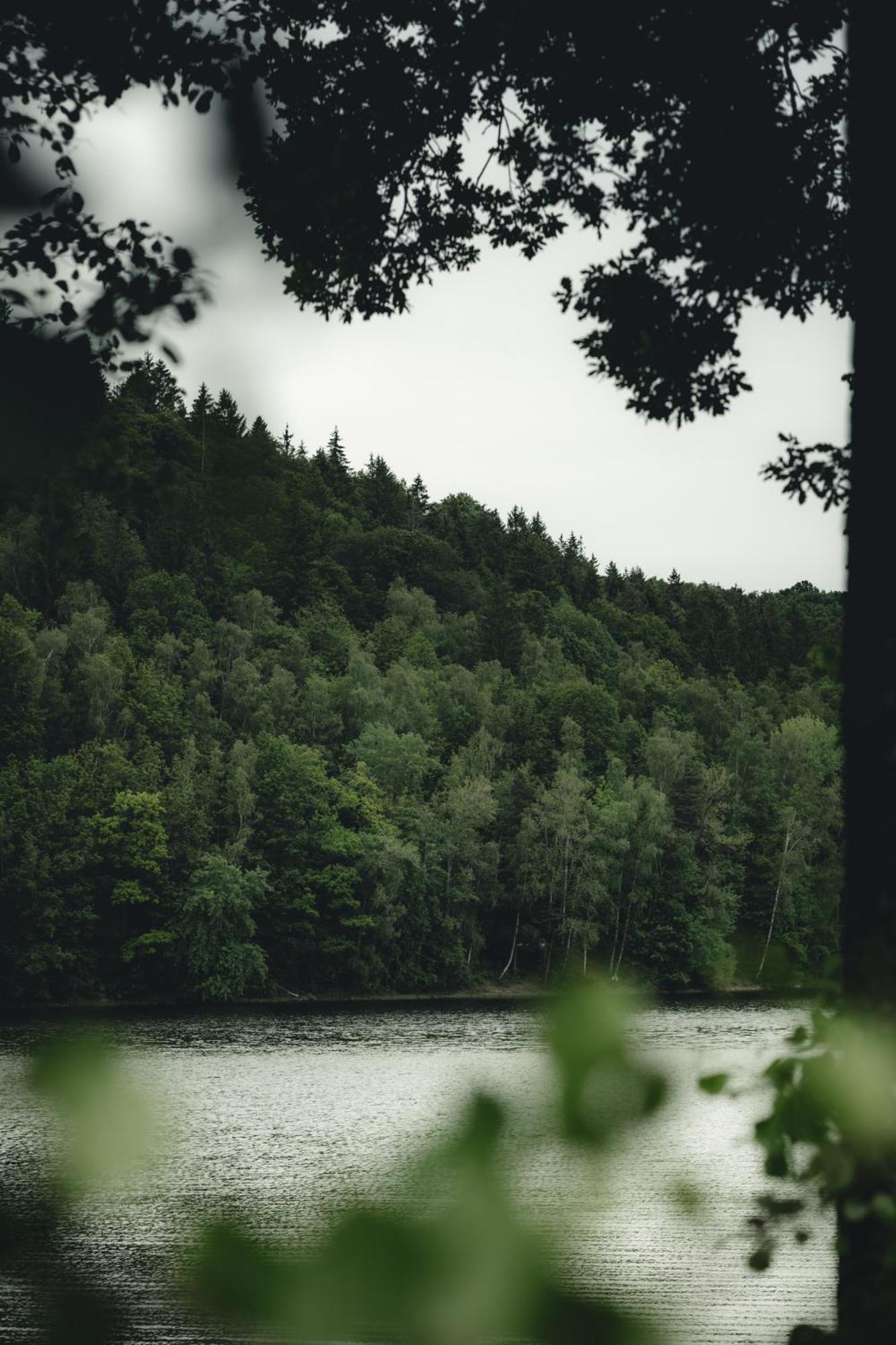 Biorezydencja Świeradów-Zdrój Exterior foto